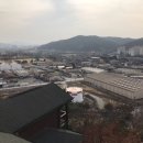 소요동사무소 Daum카페