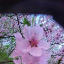 광남1동-4 이미지