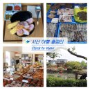 서산 뚜벅이 여행코스 총정리 • 서산 여행 best 4(중앙호수공원, 서산동부전통시장, NNN베이커리, 서산...