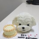 반려동물수제간식창업 이미지