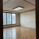 세곡-113 티스토리