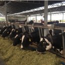 김기준농장 이미지