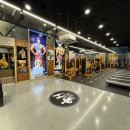 머슬시티 이미지