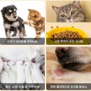 헬스탑(주) 이미지