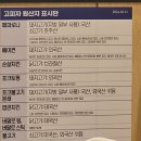 고피자 부산화명점 이미지