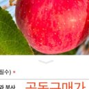 애플띵크 이미지