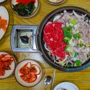 힘쎈낙지 - 울주군 진하길 25 | 힘쎈낙지
