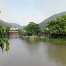 영산 연지못 이미지