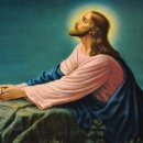 믿음목장 이미지