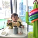 보문 스테이 풀빌라 이미지