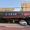 똥광 - 시흥시 옥구상가3길 17 | 청주 봉명동 24시간 가성비 대패맛집 ‘ 일품대패 봉명점 ’ 솔직 후기