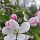 영덕중고등학교 이미지