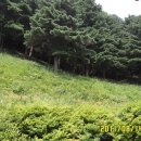 중대암입구 Daum카페
