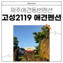 고성2119 이미지