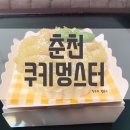 쿠키멍스터 | 코코 생일상 차려주기 / 강아지 케이크 수제간식 춘천 쿠키멍스터