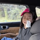 미향식당 | 하는 순천 여행] 순천 낙안읍성 맛집 투어, 고향정가 한정식 &amp; 미향식당 꼬막정식 내돈내산 솔직 후기!