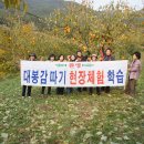춘추농원