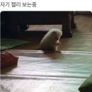 이거시PC방 이미지