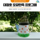 대덕구 공정생태관광 - 대청호 오감만족 &#39;그냥 쉬기로 했어&#39; 참여 후기