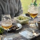 계룡산 오토캠핑장 충남 공주 동학사힐링캠핑장 B7 B8 R1
