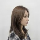 정희 탑 디렉터의 애쉬브라운