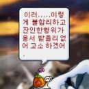 BBC의원 | 매우 슬픈 알레르기 검사 (MAST+지연 성) 내돈내산 후기