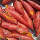 문암농장 이미지