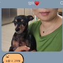 #04 여름이어라
