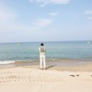 슬로우오션 풀빌라 펜션 이미지