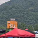 영월읍-19(어라연 만지나루) | 내고향 강원도 영월 5일장 장날 정겨운 풍경