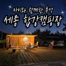 A27 | 아이와 함께 다녀온 세종합강캠핑장 A27 사용 후기