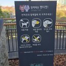 강변현대세탁소 이미지