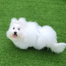 Coton4u 이미지