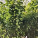 화산공인중개사사무소 이미지