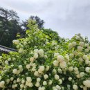 성심단식원 이미지
