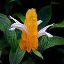 브이랜드 이미지