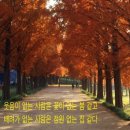 장*하
