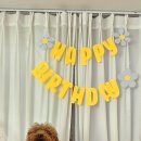 놀면뭐하개 이미지