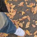 해누리 공원 | 동탄 여울공원 댑싸리, 핑크뮬리, 단풍, 용인 기흥호수공원 코스모스밭, 갈대, 동탄 가볼만한 곳, 용인...