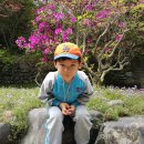 용진수련원 이미지