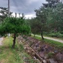 뉴설악펜션 이미지