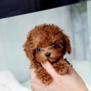 렛츠개릿 이미지