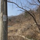 산밑포도농장