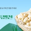 전남지방우정청 이미지