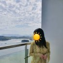 모드니프라자 이미지