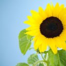 사랑나눔한의원 이미지