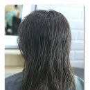 단후헤어 네이버블로그