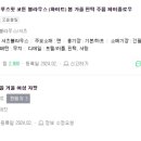 도태라플러스 이미지