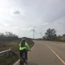 방아머리 구선착장 이미지