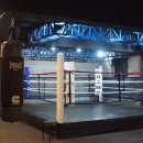 바다소나무 이미지